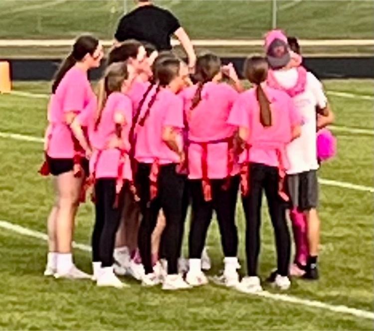 Live Feed Lake Crystal Memorial Secondary School